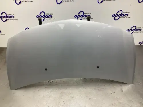 Motorkap-8528839
