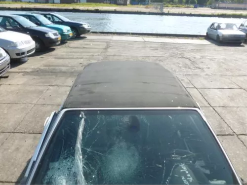 Cabriodak Softtop-7738085 (5427659)