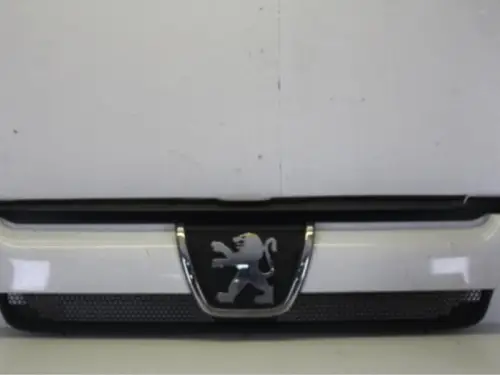 Grille-7883402