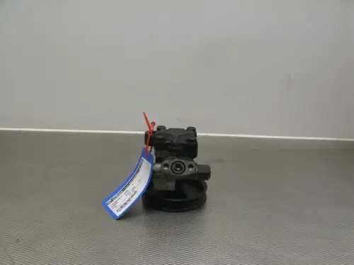 Stuurbekrachtiging Pomp-