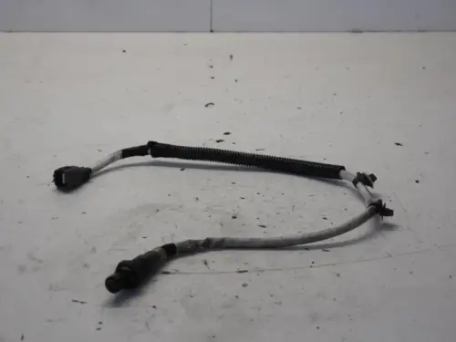 Lambda Sonde-7882022
