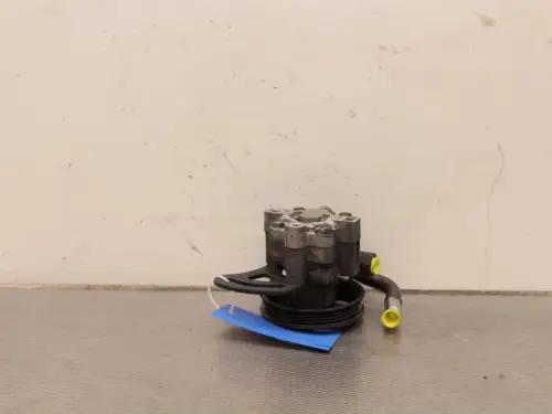Stuurbekrachtiging Pomp-7886227