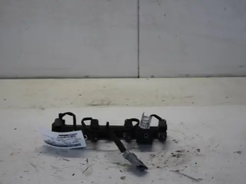 Injector (benzine injectie)-7880440