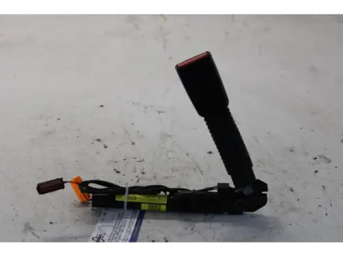 Gordelspanner rechts-7878960