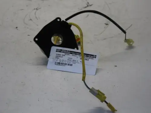 Airbagring-7880269