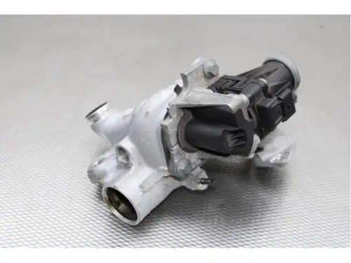 EGR Klep-
