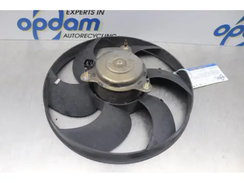Koelvin Motor-7877557
