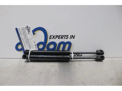 Gasdemper Motorkap Set-7620546