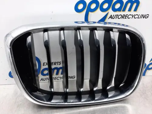 Grille-
