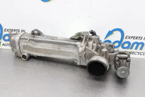 EGR Klep-