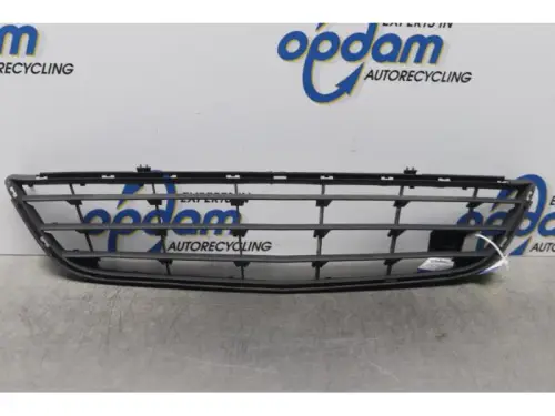 Bumper Rooster-7608861