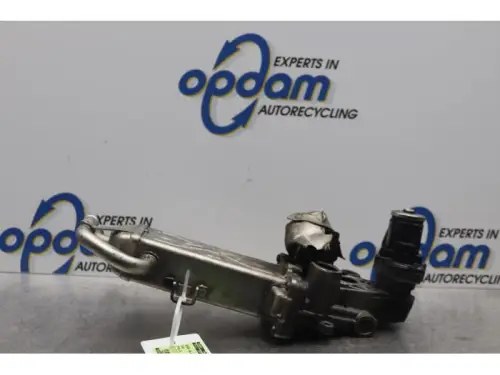 EGR Klep-