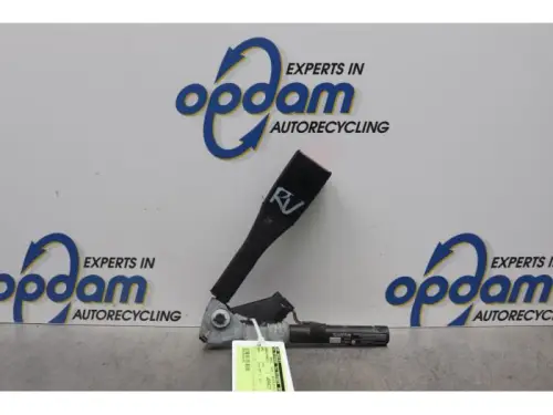 Gordelspanner rechts-7878060