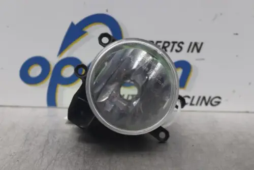 Mistlamp links-voor-6923503