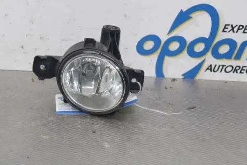 Mistlamp rechts-voor-