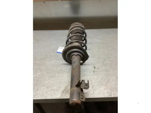 Schokdemperpoot rechts-voor-7610888