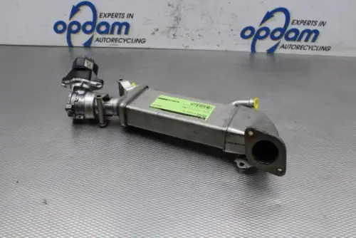 EGR Klep-
