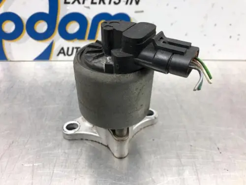 EGR Klep-7609897