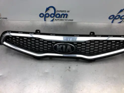 Grille-7915330
