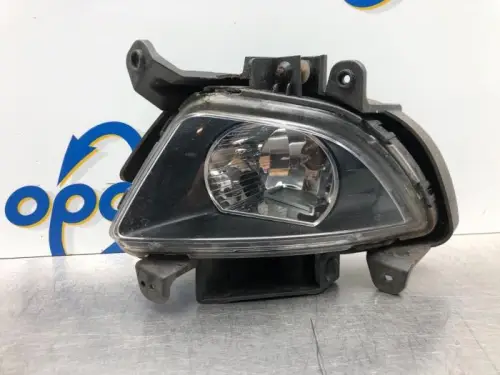Mistlamp rechts-voor-