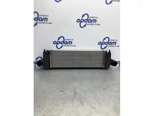 Intercooler-7717666
