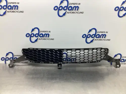 Bumper Rooster-7922649