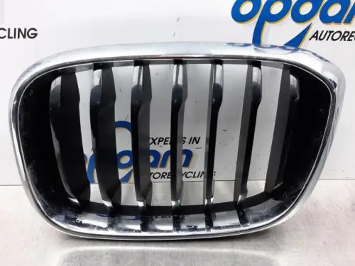 Grille-