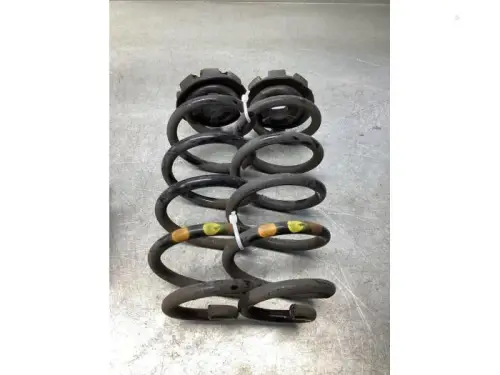 Schroefveer achter-7980130