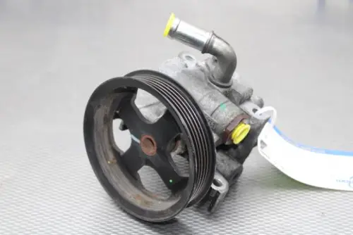 Stuurbekrachtiging Pomp-7086809
