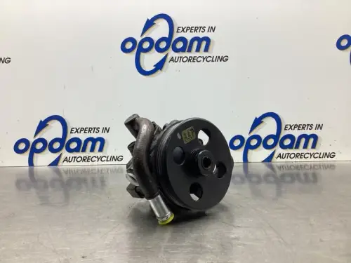Stuurbekrachtiging Pomp-7993874