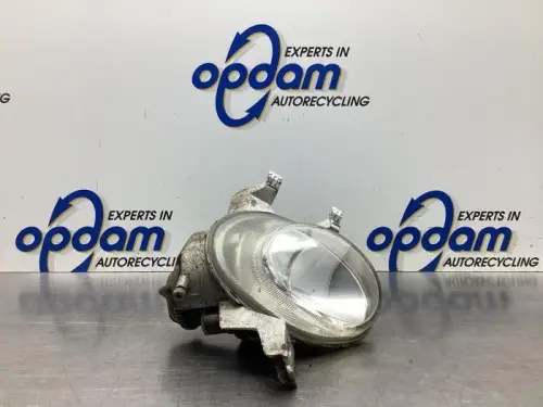Mistlamp links-voor-7995660