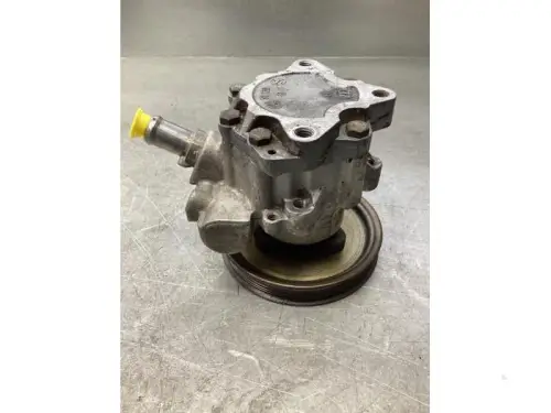 Stuurbekrachtiging Pomp-7930264
