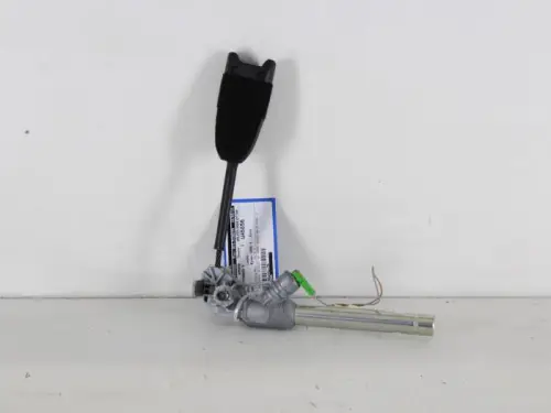 Gordelspanner rechts-7889569