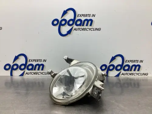 Mistlamp rechts-voor-7995660