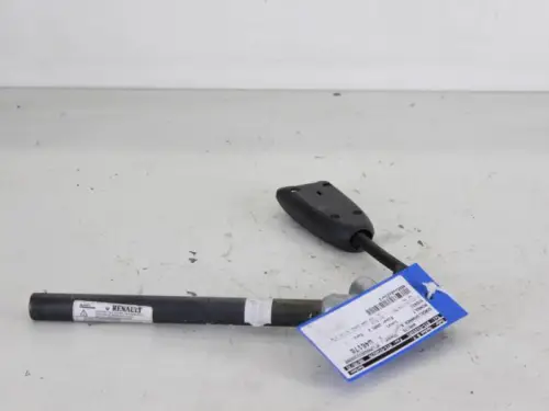 Gordelspanner rechts-7614792