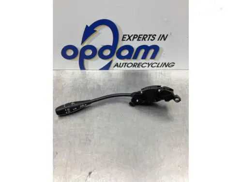 Cruise Control Bediening-7738519