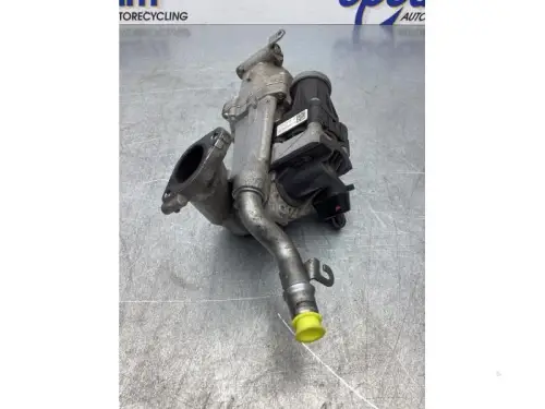 EGR Klep-