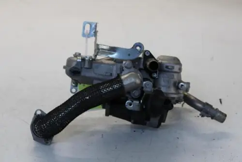 EGR Klep-