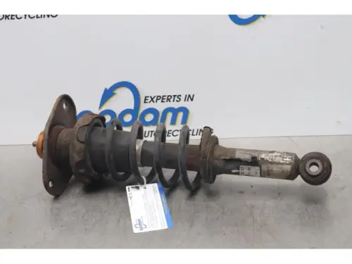 Schokdemperpoot links-achter-7611835