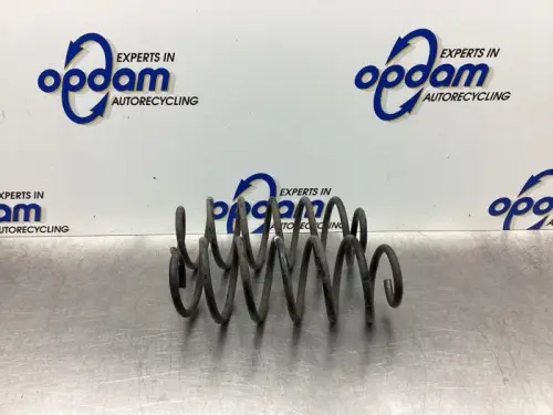 Schroefveer achter-7995040