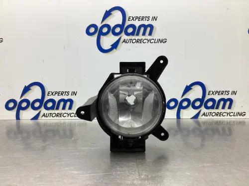 Mistlamp links-voor-7929351