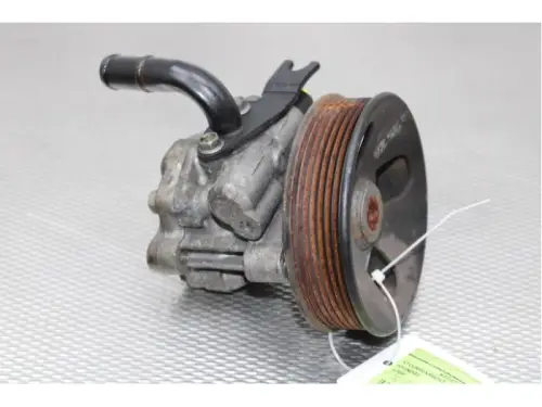 Stuurbekrachtiging Pomp-7738097