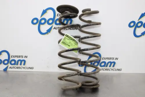 Schroefveer achter-6369723