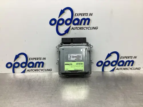 Computer Motormanagement-7862434