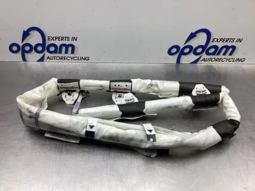 Airbag hemel rechts-7613982