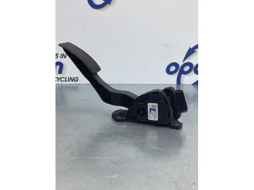 Gaspedaalpositie Sensor-6916819