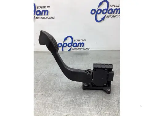 Gaspedaalpositie Sensor-8025084