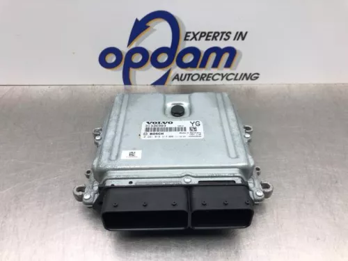 Computer Motormanagement-8100955 (21038574)