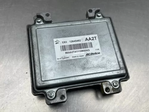 Computer Motormanagement-8294956 (22221218)