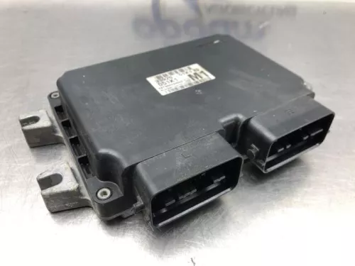 Computer Motormanagement-8174412 (20769023)